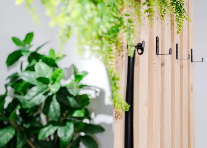 Appartement Cozy Studi Ii - Kaiserslautern